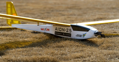 Aion-25 Electric Sport Glider Balsawood KIT 2500mm