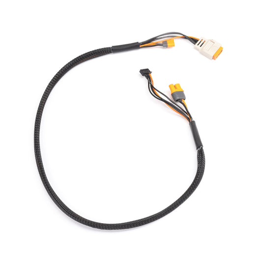 Charge lead w/Bal Ext. 24 inch IC2, 2 -45