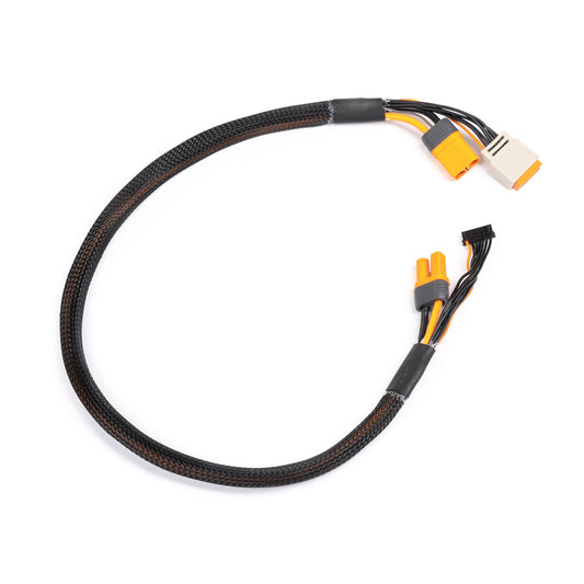 Charge lead w/Bal Ext. 24 inch IC5, 2 - 4S