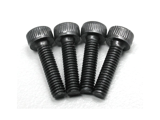 2.5mmx10 Socket Head Cap Screw