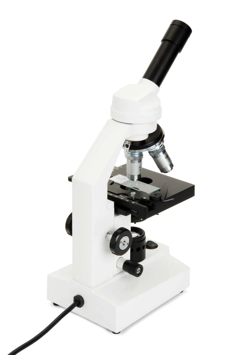 CM2000CF - Compound Microscope