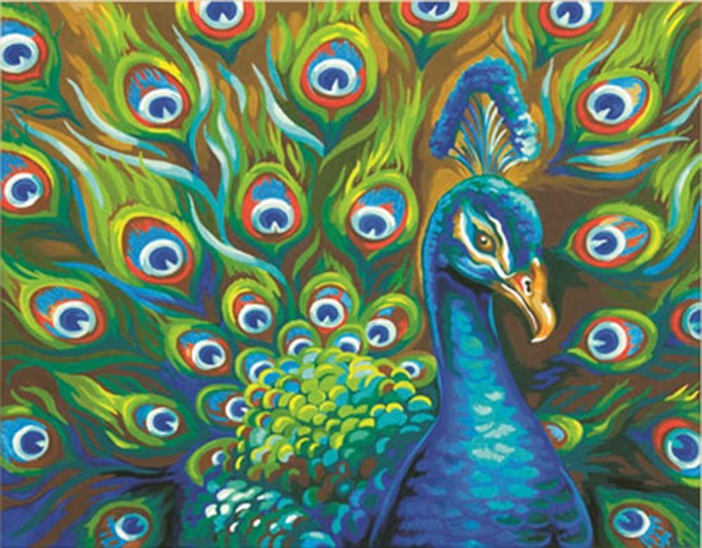 Wild Feathers (Peacock) Paint by Number (14"x11")