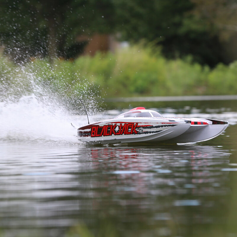 Blackjack 42" BL 8s Catamaran, SMART RTR: White/Red