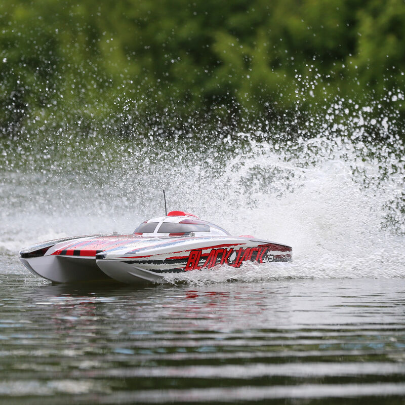 Blackjack 42" BL 8s Catamaran, SMART RTR: White/Red