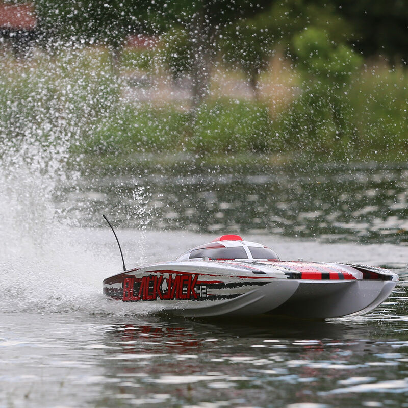 Blackjack 42" BL 8s Catamaran, SMART RTR: White/Red