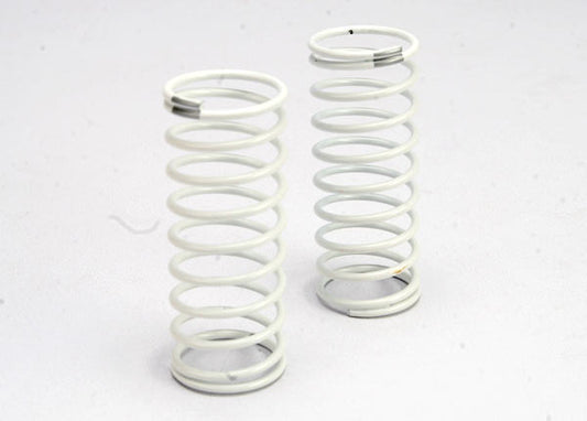 White Shock Spring GTR, Rear