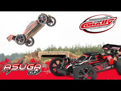 1/8 Asuga XLR 6S RTR - Red, Large Scale